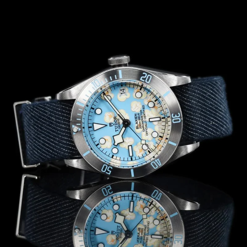 Tudor Black Bay